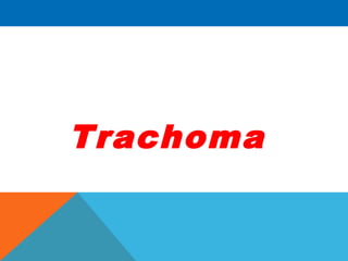 Trachoma
 
