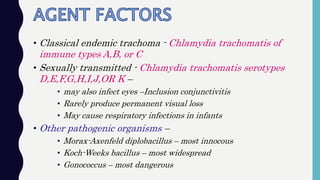 • Classical endemic trachoma - Chlamydia trachomatis of
immune types A,B, or C
• Sexually transmitted - Chlamydia trachomatis serotypes
D,E,F,G,H,I,J,OR K –
• may also infect eyes –Inclusion conjunctivitis
• Rarely produce permanent visual loss
• May cause respiratory infections in infants
• Other pathogenic organisms –
• Morax-Axenfeld diplobacillus – most innocous
• Koch-Weeks bacillus – most widespread
• Gonococcus – most dangerous
 