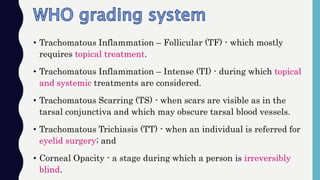 • Trachomatous Inflammation – Follicular (TF) - which mostly
requires topical treatment.
• Trachomatous Inflammation – Intense (TI) - during which topical
and systemic treatments are considered.
• Trachomatous Scarring (TS) - when scars are visible as in the
tarsal conjunctiva and which may obscure tarsal blood vessels.
• Trachomatous Trichiasis (TT) - when an individual is referred for
eyelid surgery; and
• Corneal Opacity - a stage during which a person is irreversibly
blind.
 