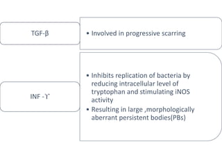• Involved in progressive scarring
TGF-β
• Inhibits replication of bacteria by
reducing intracellular level of
tryptophan and stimulating iNOS
activity
• Resulting in large ,morphologically
aberrant persistent bodies(PBs)
INF -ϒ
 