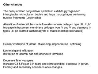 Other changes
The desquamated conjunctival epithelium exhibits glycogen-rich
intracytoplasmic inclusion bodies and large macrophages containing
nuclear fragments (Leber cells)
Alteration of extracellular matrix formation of new collagen type I,II , III,IV
Increase in basement membrane collagen type IV and V and decrease in
types I,III (in scarred trachoma)(role of matrix metalloproteinase B)
Cellular infiltration of tarsus , thickening ,degeneration , softening
Lacrimal gland infiltration
Infiltration of lacrimal sac and dacryolith formation
Decrease Tear lysozyme
Increase C3 & Factor B in tears and corresponding decrease in serum.
Primary and secondary orbicularis oculi changes.
 