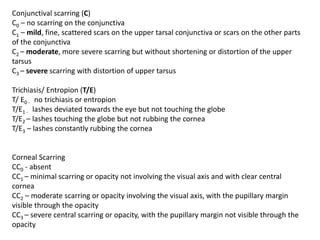 Conjunctival scarring (C)
C0 – no scarring on the conjunctiva
C1 – mild, fine, scattered scars on the upper tarsal conjunctiva or scars on the other parts
of the conjunctiva
C2 – moderate, more severe scarring but without shortening or distortion of the upper
tarsus
C3 – severe scarring with distortion of upper tarsus
Trichiasis/ Entropion (T/E)
T/ E0 - no trichiasis or entropion
T/E1 - lashes deviated towards the eye but not touching the globe
T/E2 – lashes touching the globe but not rubbing the cornea
T/E3 – lashes constantly rubbing the cornea
Corneal Scarring
CC0 - absent
CC1 – minimal scarring or opacity not involving the visual axis and with clear central
cornea
CC2 – moderate scarring or opacity involving the visual axis, with the pupillary margin
visible through the opacity
CC3 – severe central scarring or opacity, with the pupillary margin not visible through the
opacity
 