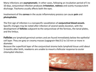 Many infections are asymptomatic. In other cases, following an incubation period of 5 to
10 days, conjunctival infection produces irritatation, redness and scanty mucopurulent
discharge. Trachoma usually affects both the eyes.
Involvement of the cornea in the acute inflammatory process can cause pain and
photophobia.
The first sign of infection is a nonspecific vasodilation of conjunctival blood vessels.
Specific changes may be noted after infection of several weeks duration, with the
development of follicles subjacent to the conjunctivae of the fornices, the tarsal plates,
and the limbus.
Follicles are lymphoid germinal centers and are found immediately below the epithelial
cell layer. They are grey or creamy masses (sagograin-like) 0.2 to 3.0 mm or more in
diameter.
Because the superficial layer of the conjunctival stroma lacks lymphoid tissue until about
3 months after birth, newborns are unable to mount a follicular response to ocular
chlamydial infection.
 