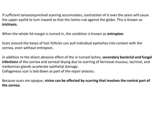 If sufficient tarsoconjunctival scarring accumulates, contraction of it over the years will cause
the upper eyelid to turn inward so that the lashes rub against the globe. This is known as
trichiasis.
When the whole lid margin is turned in, the condition is known as entropion.
Scars around the bases of hair follicles can pull individual eyelashes into contact with the
cornea, even without entropion.
In addition to the direct abrasive effect of the in-turned lashes, secondary bacterial and fungal
infections of the cornea and corneal drying due to scarring of forniceal-mucous, lacrimal, and
meibomian glands accelerate epithelial damage.
Collagenous scar is laid down as part of the repair process.
Because scars are opaque, vision can be affected by scarring that involves the central part of
the cornea.
 