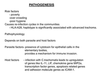PATHOGENESIS
Risk factors
- poverty
-over crowding
-poor hygiene
Causes re-infection cycles in the communities
- HLA-A28, haplotype is significantly associated with advanced trachoma.
Pathophysiology
Depends on both parasite and host factors
Parasite factors- presence of cytotoxin for epithelial cells in the
elementary bodies,
provides a mechanism for immune invasion.
Host factors - infection with C.trachomatis leads to upregulaton
of genes like IL-11, LIF, chemokine gene MIP2a,
transcription factor genes, apoptosis related genes
and adhesion molecule genes as ICAM-1.
 