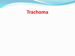 Trachoma
 