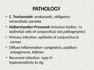 PATHOLOGY
• C. Trachomatis- prokaryotic, obligatory
intracellular parasite
• Halberstaedter-Prowazek inclusion bodies– in
epithelial cells of conjunctiva( not pathognomic)
• Primary infection- epithelia of conjunctiva &
cornea
• Diffuse inflammation- congestion, papillary
enlargement, follicles
• Recurrent infection- type IV
hypersensitivity to Ag
 