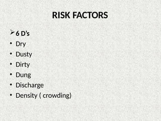 RISK FACTORS
6 D’s
• Dry
• Dusty
• Dirty
• Dung
• Discharge
• Density ( crowding)
 