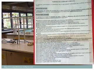 http:/www.unpodichimca.wordpress.com 
 