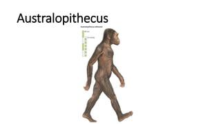Tracing back the human biocultural and social evolution | PPTX