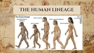 THE HUMAN LINEAGE
 