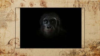 Tracing the Bioculural and Evolution of Early to Modern Humans.pptx