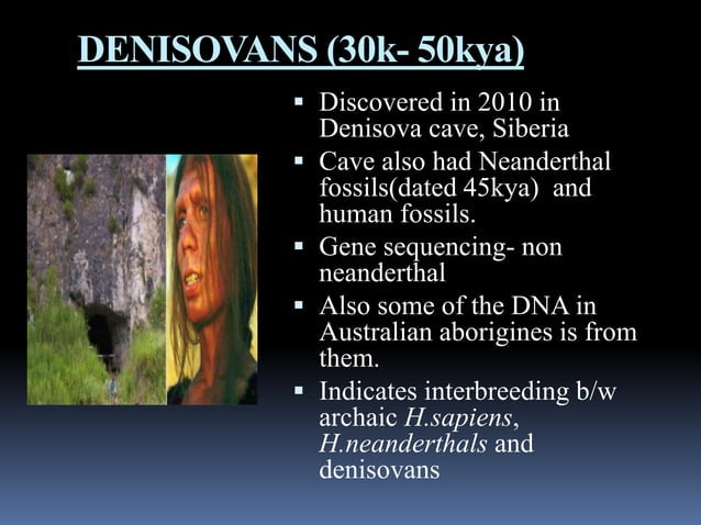 Tracing the human evolution