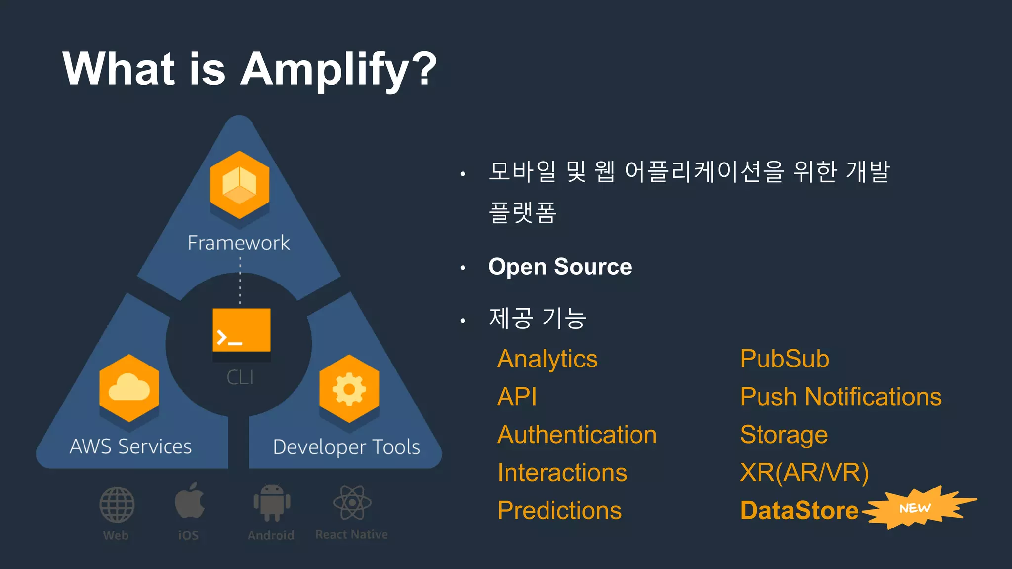 What is Amplify?
• 모바일 및 웹 어플리케이션을 위한 개발
플랫폼
• Open Source
• 제공 기능
Analytics PubSub
API Push Notifications
Authentication Storage
Interactions XR(AR/VR)
Predictions DataStore NEW
 