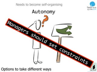 Needs to become self-organising
Options to take different ways
Autonomy
 