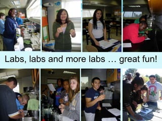 Labs, labs and more labs … great fun!