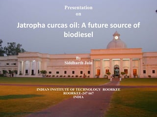Presentation
                       on

Jatropha curcas oil: A future source of
              biodiesel

                       By
                  Siddharth Jain




      INDIAN INSTITUTE OF TECHNOLOGY ROORKEE
                   ROORKEE-247 667
                        INDIA
 