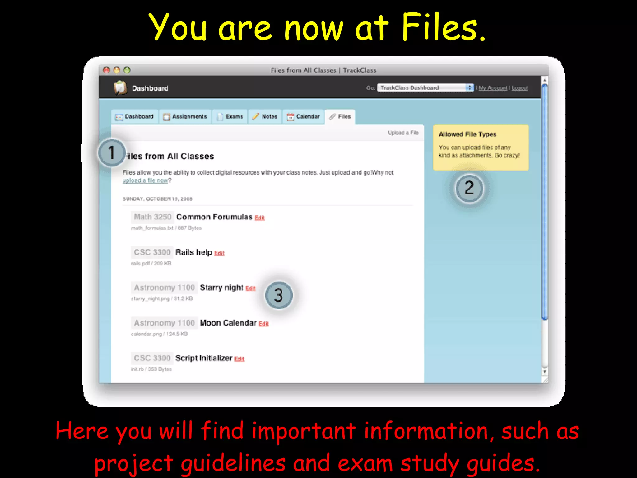 You are now at Files. Here you will find important information, such as project guidelines and exam study guides. 