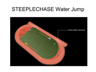 STEEPLECHASE Water Jump
 