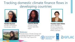 Tracking domestic climate finance flows in
developing countries
Sandra Guzman,
Founder and General
Coordinator, GFLAC
Joanne Manda,
Climate Change
Finance Specialist,
UNDP
Juanita Lopez Pelaez,
Senior Manager of
Climate Change and
Sustainability Services,
KPMG Colombia
Moderator:
Claudia Garcia, Climate Change and
Knowledge Management Specialist
 FAO | NAP-Ag Programme
 