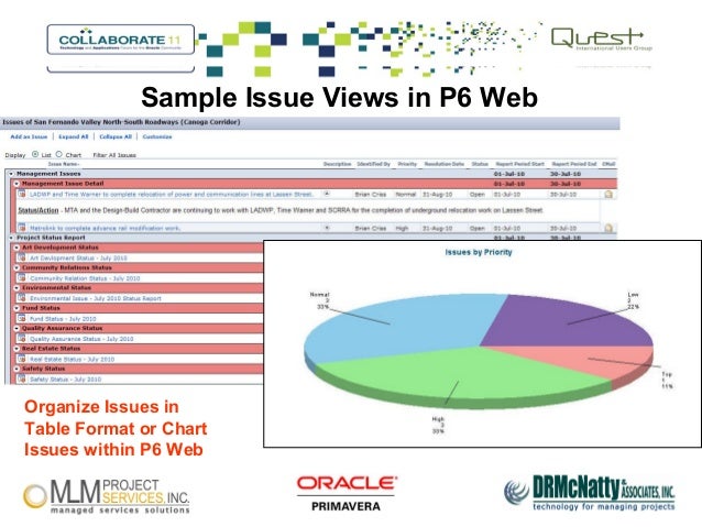 tracking project issues with p6 web