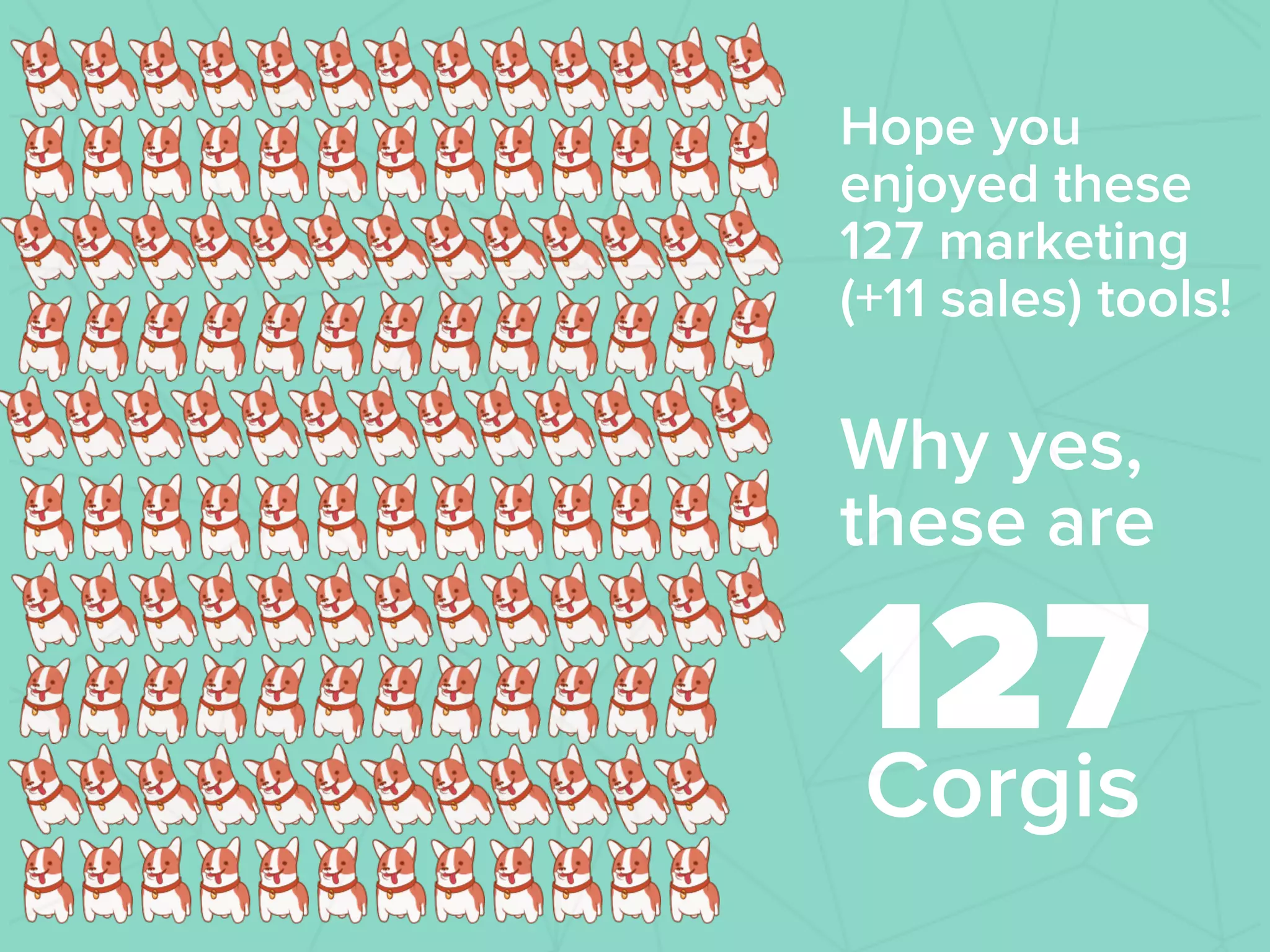 Hope you
enjoyed these
127 marketing
(+11 sales) tools!
!
Why yes,
these are
127Corgis
 