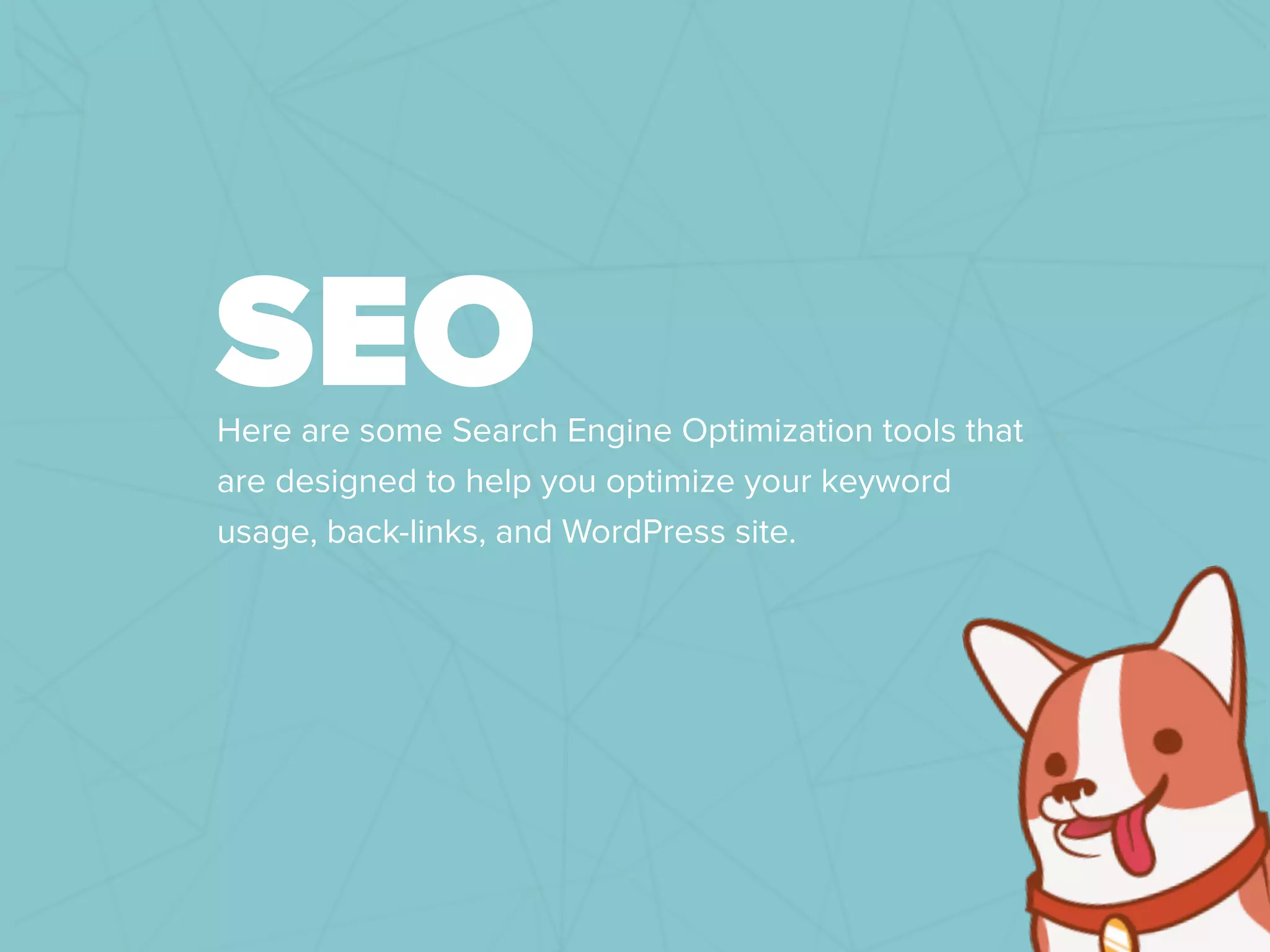 SEOHere are some Search Engine Optimization tools that
are designed to help you optimize your keyword
usage, back-links, and WordPress site.
 