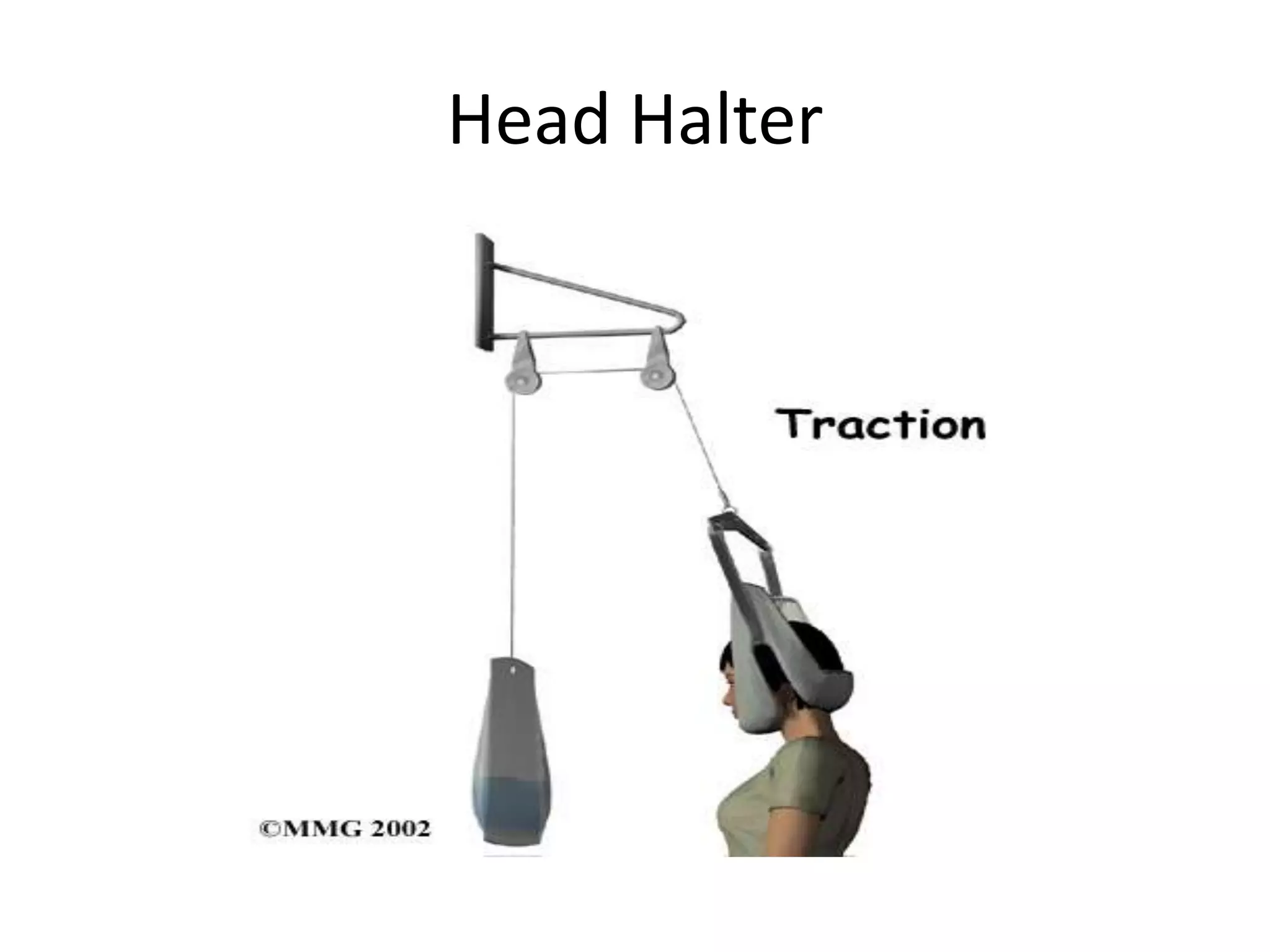 Head Halter
