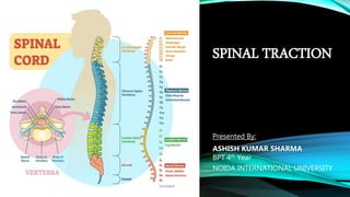 SPINAL TRACTION
Presented By:
ASHISH KUMAR SHARMA
BPT 4th Year
NOIDA INTERNATIONAL UNIVERSITY
 