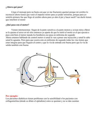 Trayecto dentro del neuroeje representado, generalmente, por un tracto o lemnisco.