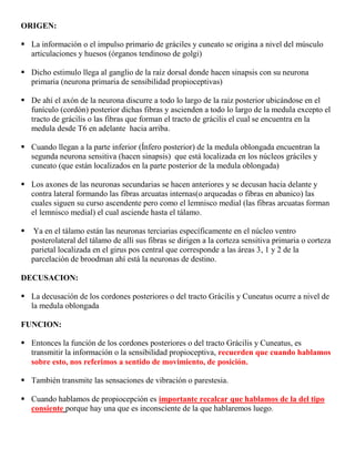 Área de proyección cortical. <br />Están constituidas por 3 neuronas:<br />1ª Se ubica a nivel del ganglio espinal.