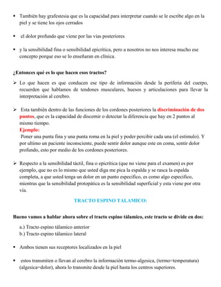 2ª Se ubica en el cuerno dorsal de la médula, su axón cruza la línea media para luego ascender al tálamo.