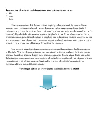 3ª Se ubica en núcleos talámicos. <br />Vías Inconscientes:       <br />Están constituidas sólo por dos neuronas. 