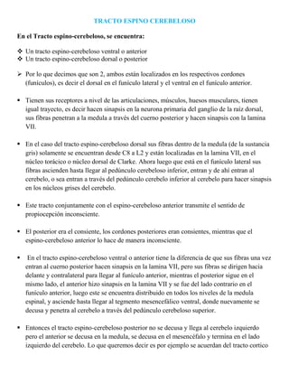 Siempre los axones de las segundas neuronas de estas grandes vías sensitivas cruzan la línea media.