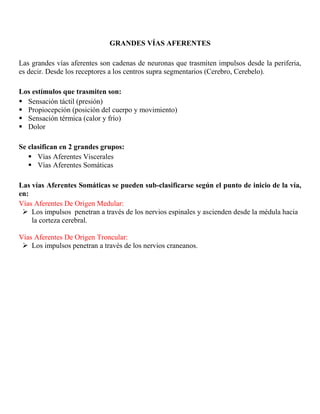 Propiocepción (posición del cuerpo y movimiento)