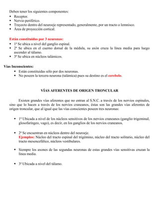 DolorSe clasifican en 2 grandes grupos:<br />Vías Aferentes Viscerales