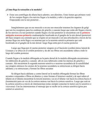 Vías Aferentes De Origen Troncular: 