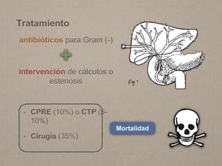 Tratamiento
antibióticos para Gram (-)
intervención de cálculos o
estenosis
• CPRE (10%) o CTP (5-
10%)
• Cirugía (35%)
Mortalidad
 
