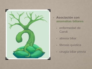 • Asociación con
anomalías biliares
• enfermedad de
Caroli
• atresia biliar
• fibrosis quística
• cirugía biliar previa
 