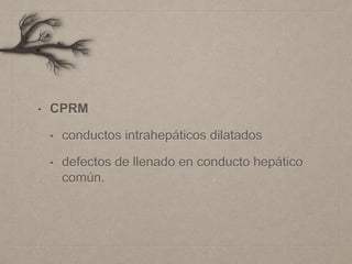 • CPRM
• conductos intrahepáticos dilatados
• defectos de llenado en conducto hepático
común.
 