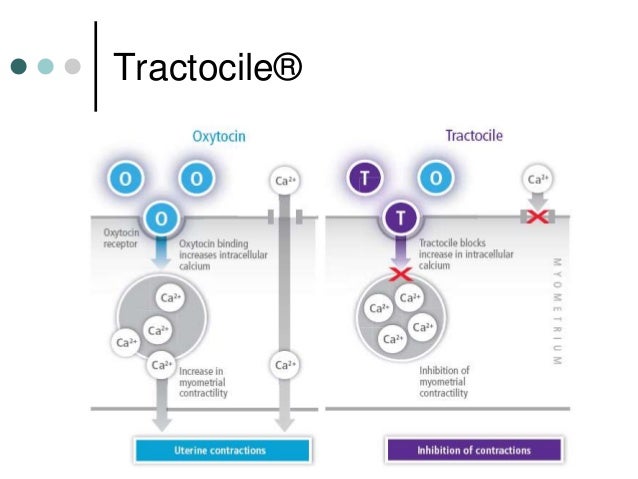 Procardia Dose For Contractions