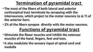 tract of spinal cord for medical students | PPTX