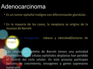 Adenocarcinoma
• Es un tumor epitelial maligno con diferenciación glandular.
• En la mayoría de los casos, la neoplasia se origina de la
mucosa de Barrett.
• Etiología y Patogenia: tabaco y obesidad(factores de
riesgo)
• Las células del epitelio de Barrett tienen una actividad
proliferativa, y las células epiteliales displasias han perdido
el control del ciclo celular. En este proceso participan
factores de crecimiento, oncogenes y genes supresores
tumorales.
 