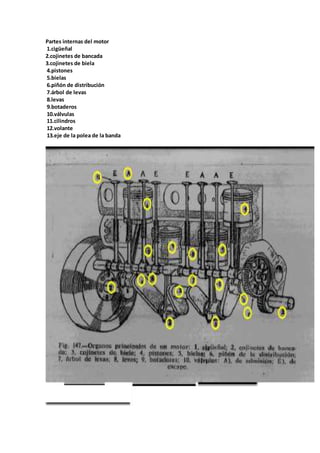 Partes internas del motor
1.cigüeñal
2.cojinetes de bancada
3.cojinetes de biela
4.pistones
5.bielas
6.piñón de distribución
7.árbol de levas
8.levas
9.botaderos
10.válvulas
11.cilindros
12.volante
13.eje de la polea de la banda
 
