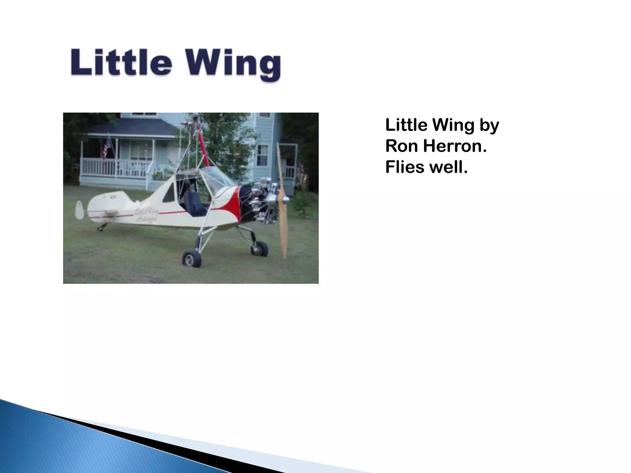 Little WingLittle Wing by Ron Herron. Flies well. 