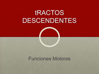 tRACTOS DESCENDENTES<br />Funciones Motoras<br />