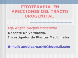 FITOTERAPIA EN
AFECCIONES DEL TRACTO
UROGENITAL
Mg. Angel Vargas Mosqueira
Docente Universitario.
Investigador de Plantas Medicinales
E-mail: angelvargas40@hotmail.com
 
