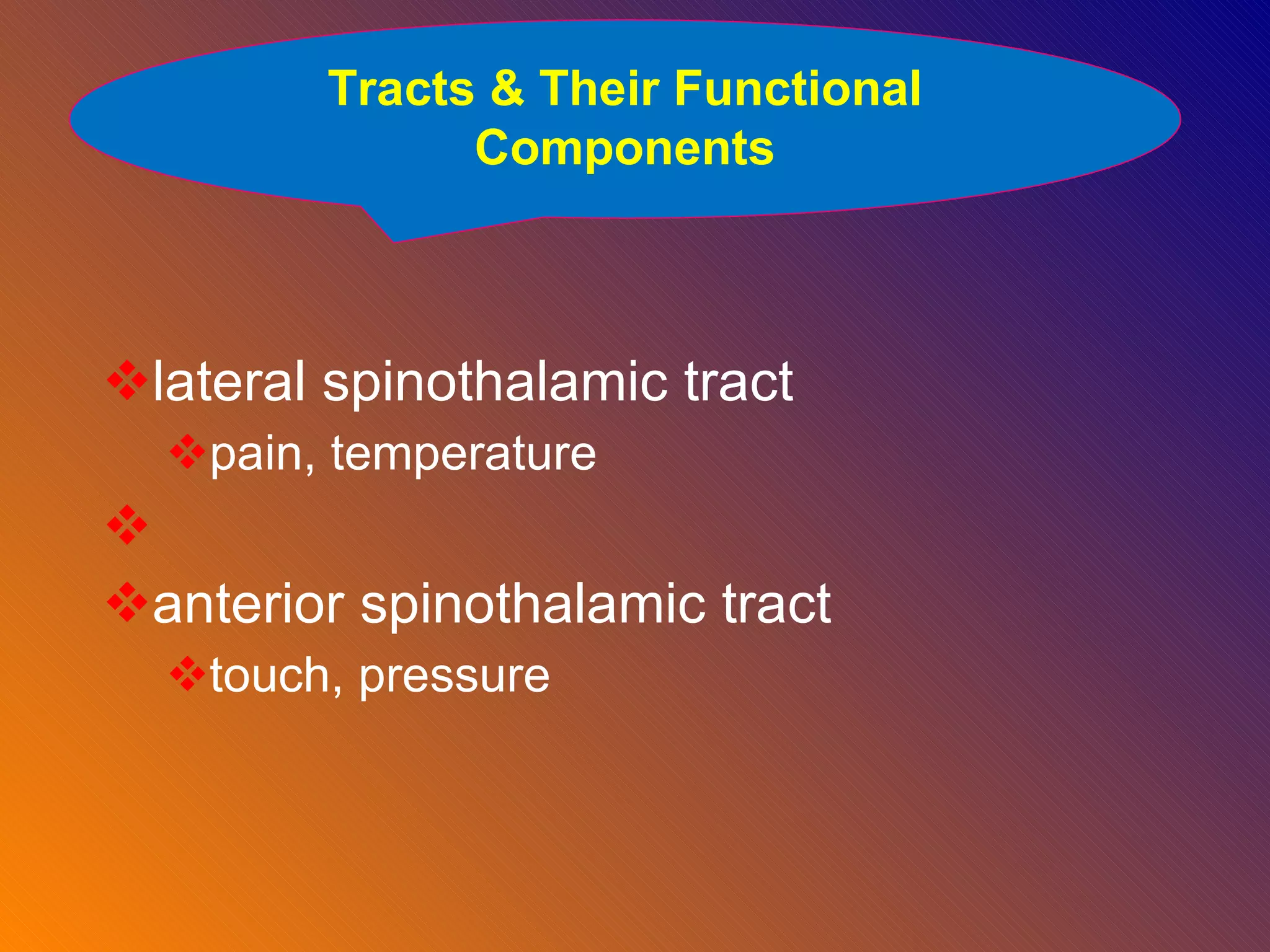 lateral spinothalamic tract  pain, temperature anterior spinothalamic tract touch, pressure Tracts & Their Functional Components 