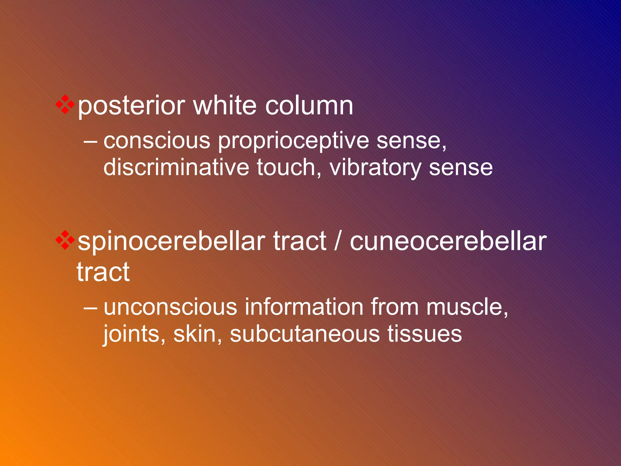 posterior white column conscious proprioceptive sense, discriminative touch, vibratory sense  spinocerebellar tract / cuneocerebellar tract  unconscious information from muscle, joints, skin, subcutaneous tissues 