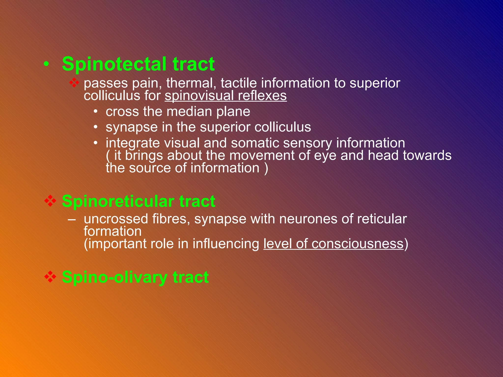 Spinotectal tract passes pain, thermal, tactile information to superior colliculus for  spinovisual reflexes cross the median plane synapse in the superior colliculus   integrate visual and somatic sensory information  ( it brings about the movement of eye and head towards the source of information )  Spinoreticular tract uncrossed fibres, synapse with neurones of reticular formation    (important role in influencing  level of consciousness ) Spino-olivary tract 